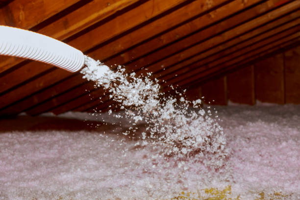 Best Insulation Maintenance and Repair in Mayville, MI